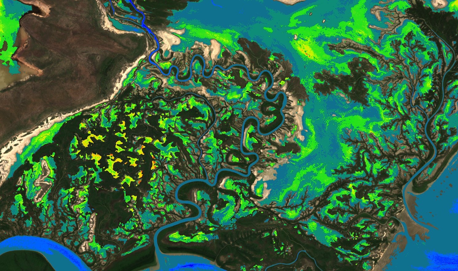 Cyanobacteria chlorophyll-a Italy1