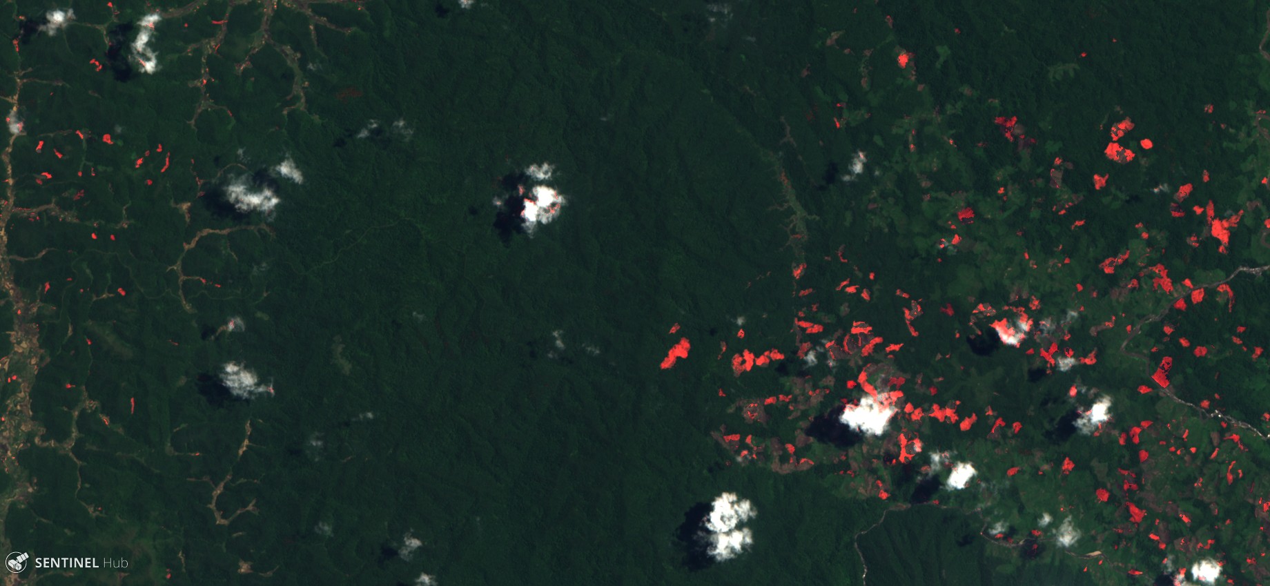 Forest Cut Temporal Detection script over Madagascar forest in 2018